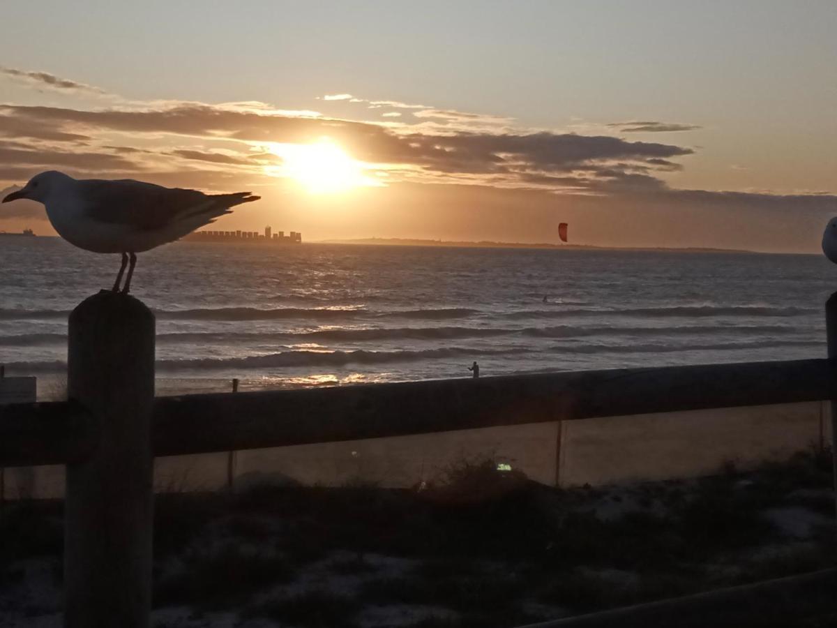Carmel Huys Villa Cape Town Dış mekan fotoğraf