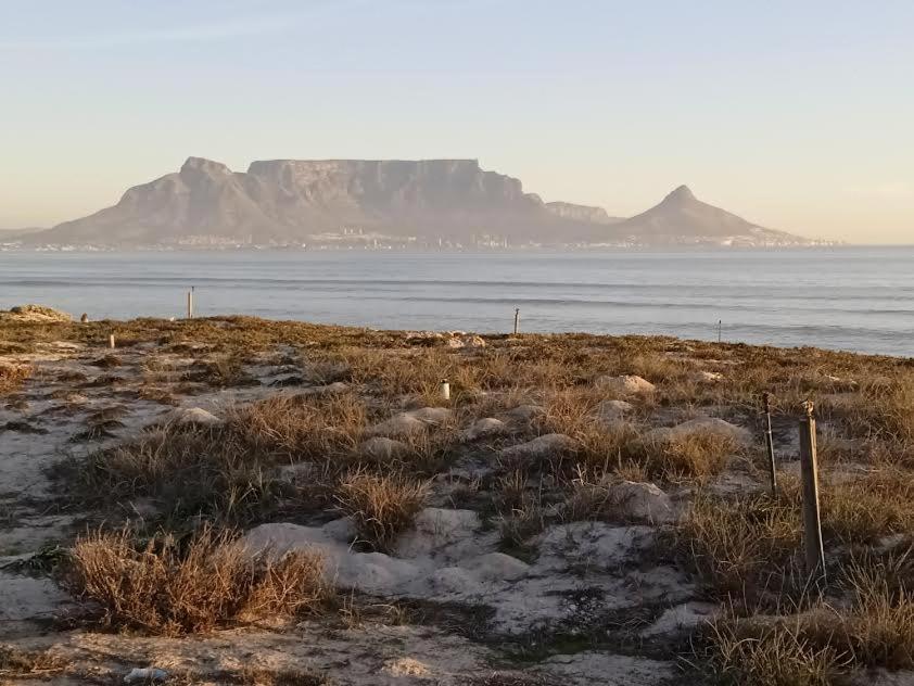Carmel Huys Villa Cape Town Dış mekan fotoğraf