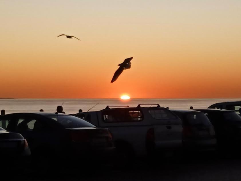 Carmel Huys Villa Cape Town Dış mekan fotoğraf